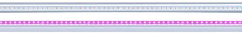 Jazzway св-к св/д линейный для растений 12W 15мкм/с кр-син 866x22x37 IP65 PPG T5i-900 Agro, 5025950, F000236